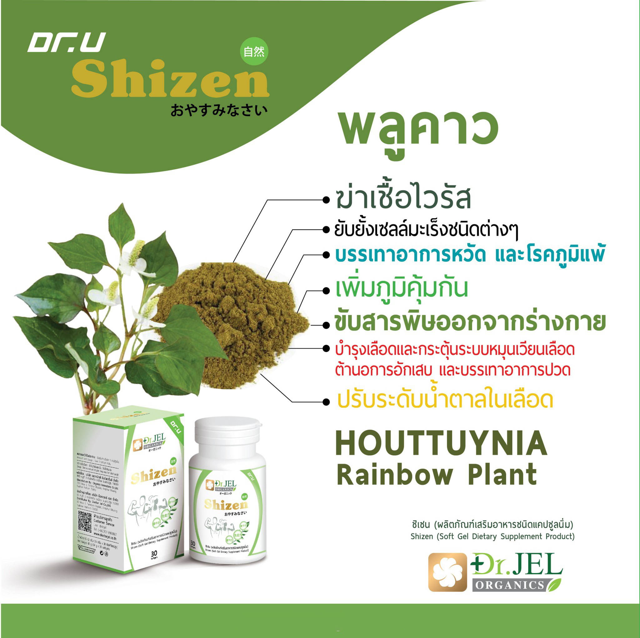 พลูคาว Shizen Dr.U