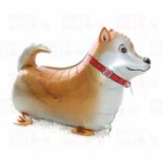 SAUSAGE DOG สัตว์เลี้ยงเดินได้