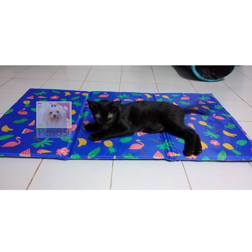 ที่นอนเจลเย็นคลายร้อน สำหรับสัตว์เลี้ยง
