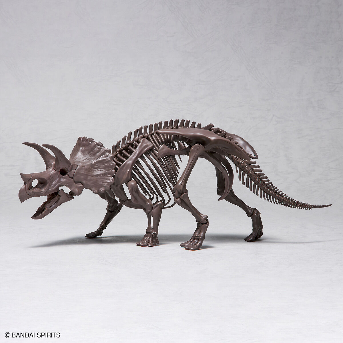 1/32 IMAGINARY SKELETON TRICERATOPS