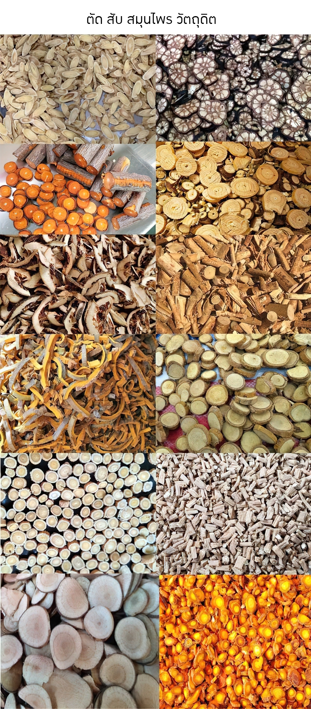 เครื่องสับ-ตัด สมุนไพร ยาจีน พริก กระเทียม ผัก รุ่น QYJ-200/300