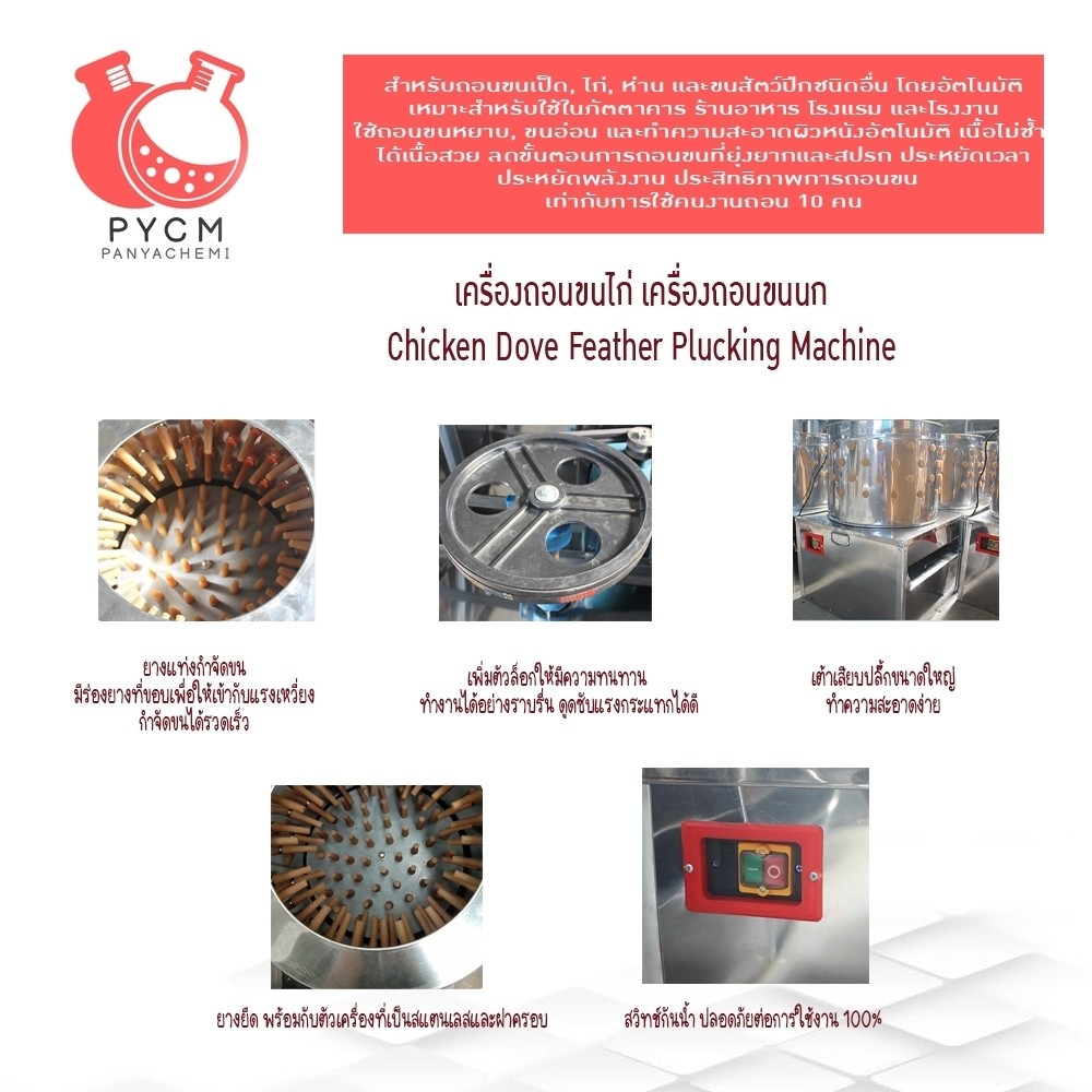 16672 เครื่องถอนขนไก่ เครื่องถอนขนนก Chicken Dove Feather Plucking Machine