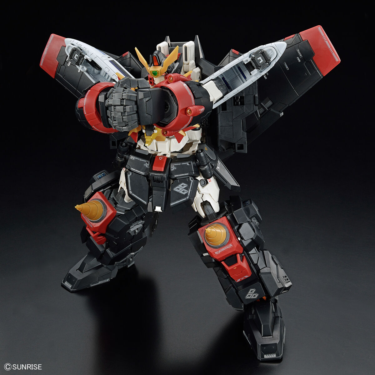 RG Gaogaigar