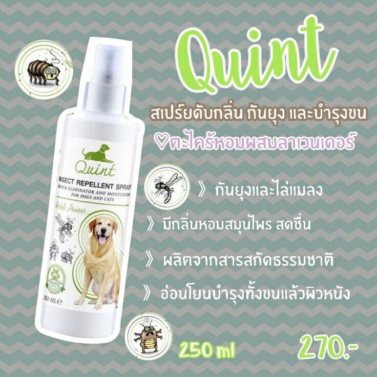 สเปรย์ดับกลิ่น กันยุง สำหรับน้องหมา