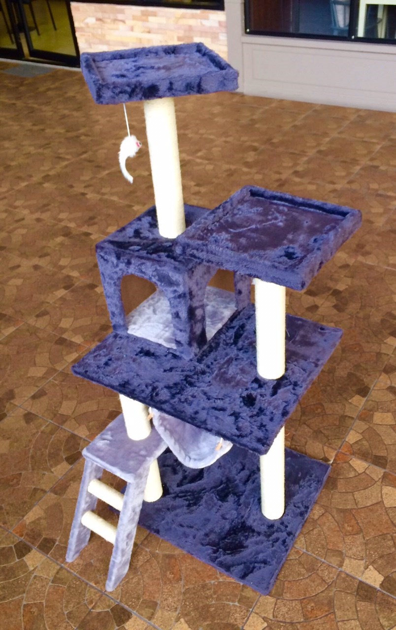 คอนโดแมว โทนม่วง พร้อมที่ลับเล็บ ที่นอน