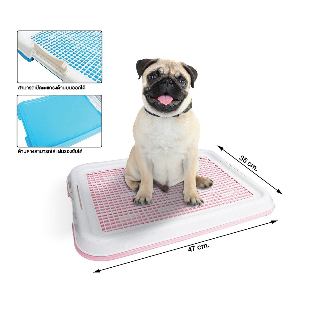 ห้องน้ำน้องหมา size เล็ก