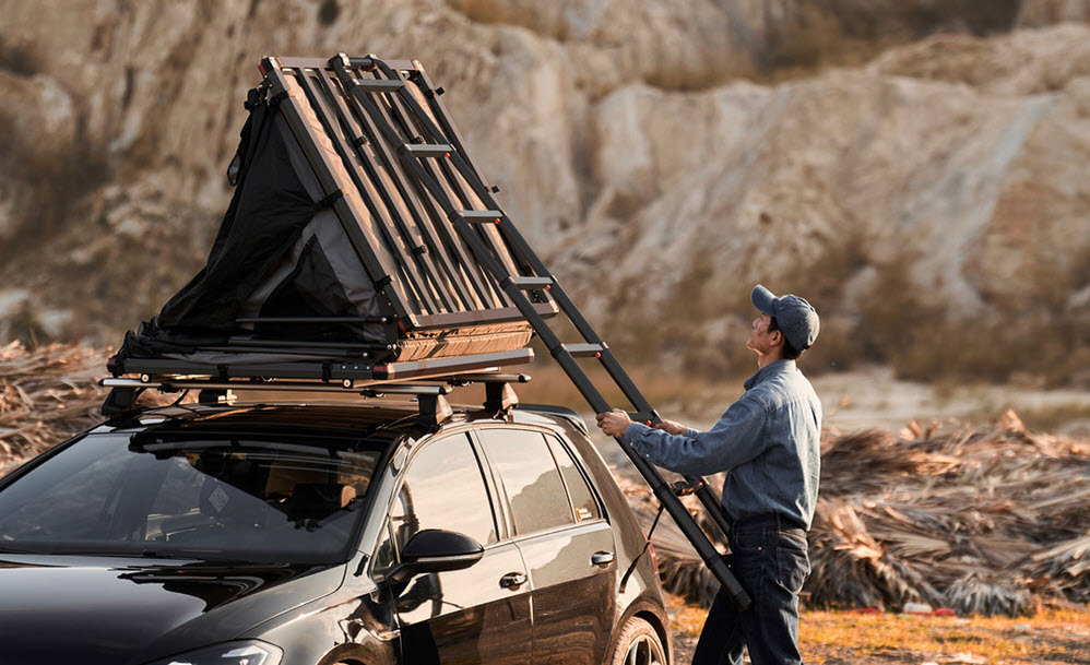 Lite Cruiser WILDLAND