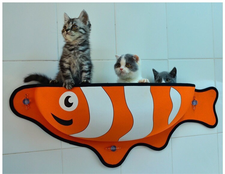 เปลแมวติดกระจก ปลานีโม