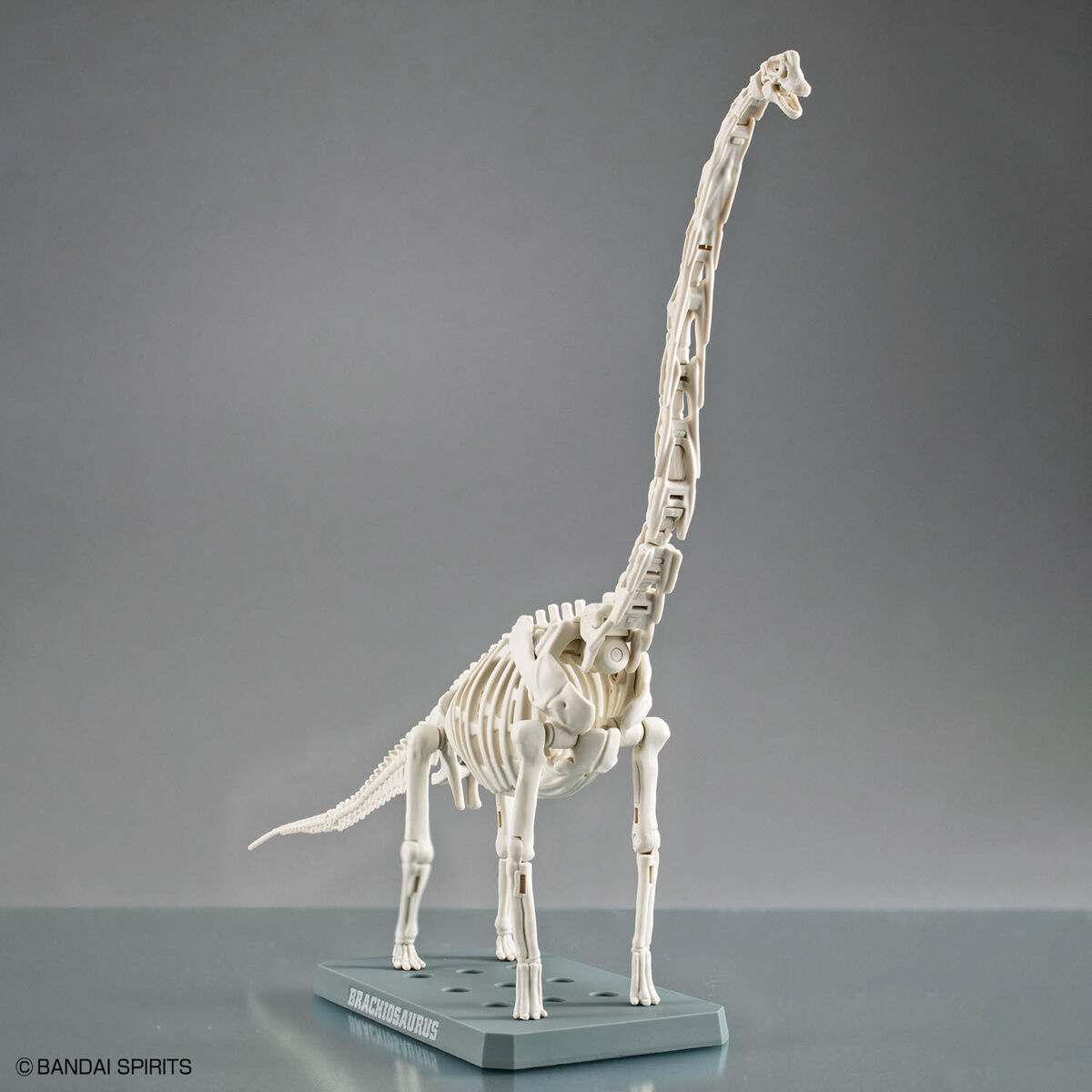 PLANNOSAURUS BRACHIOSAURUS