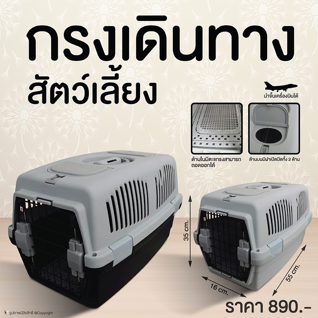 box เดินทางสัตว์เลี้ยง โทนเทา