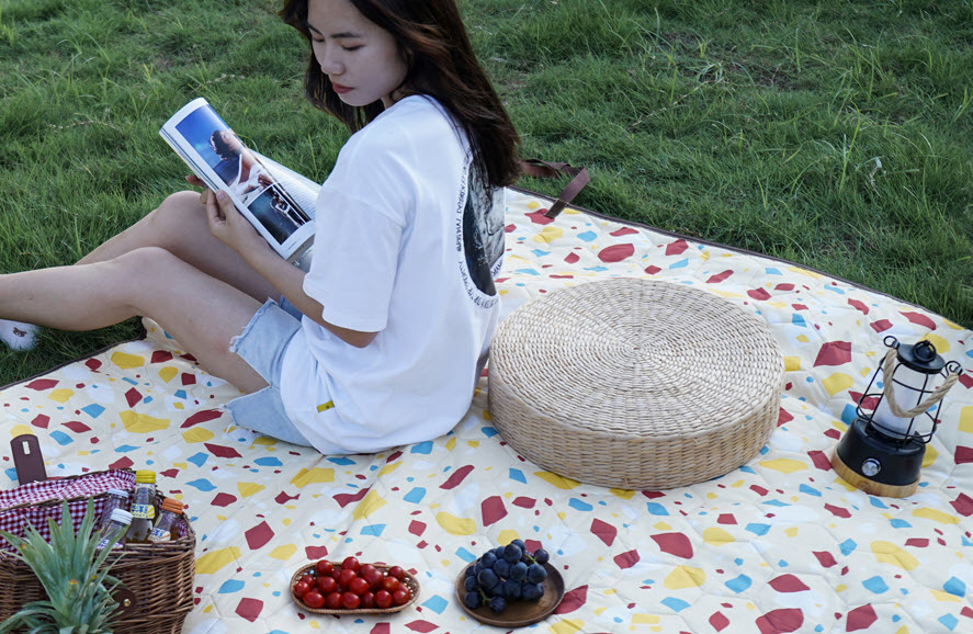 Wild Land Portable Waterproof Camping Outdoor Picnic Pad