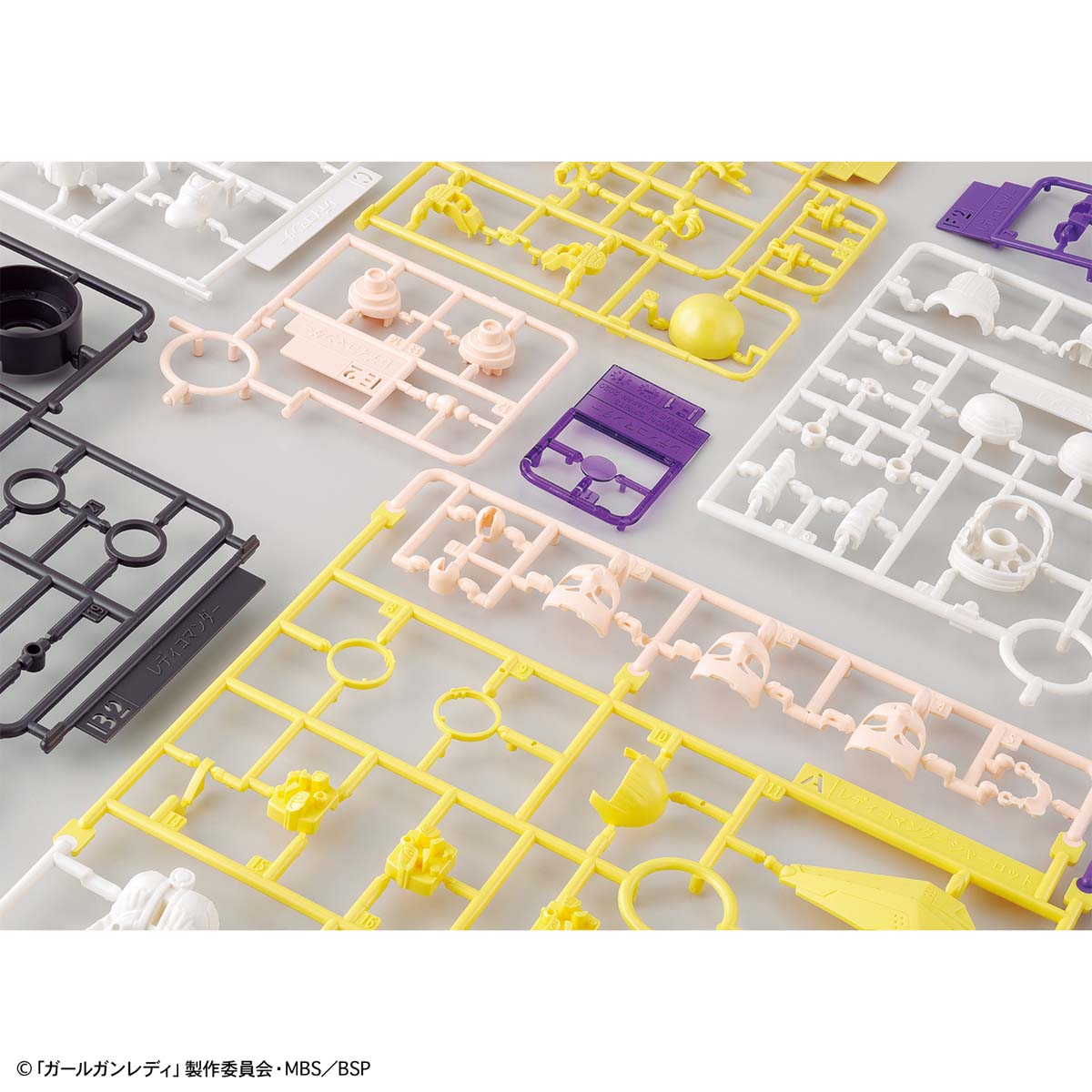 Lady Commander Charlotte (Plastic model)