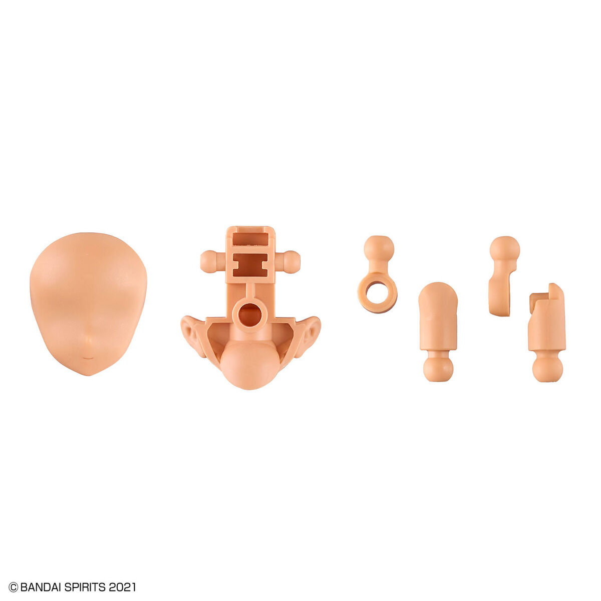 30MS OPTION PARTS SET 8 (SCOUT COSTUME) [COLOR C]