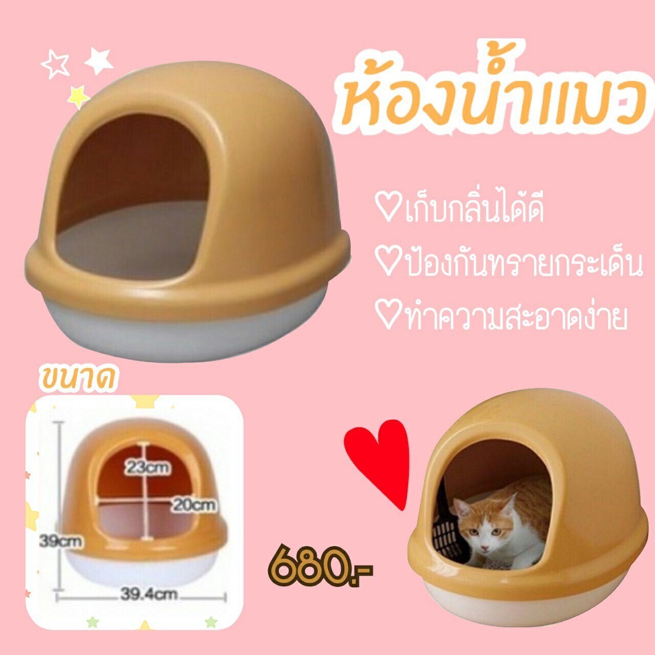 ห้องน้ำแมว