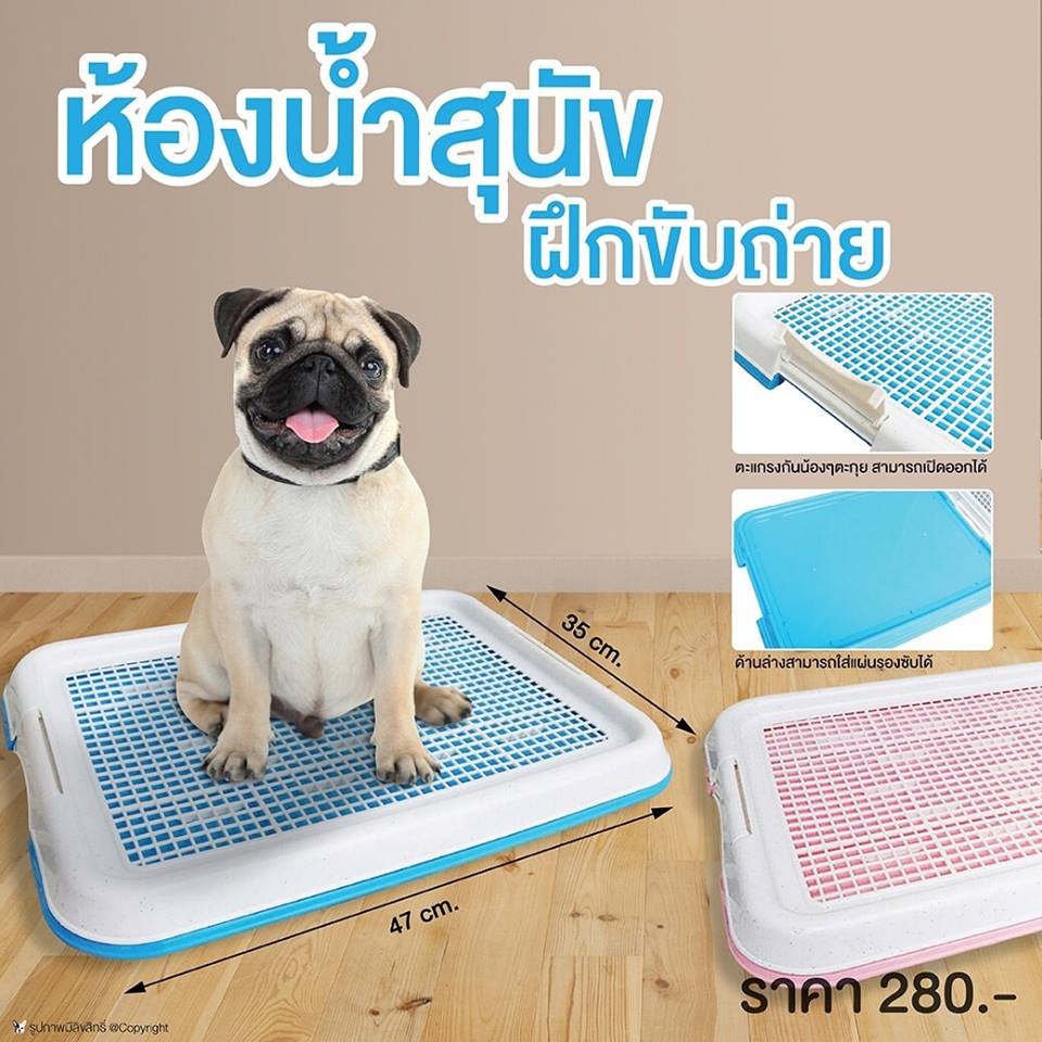 ห้องน้ำน้องหมา size เล็ก