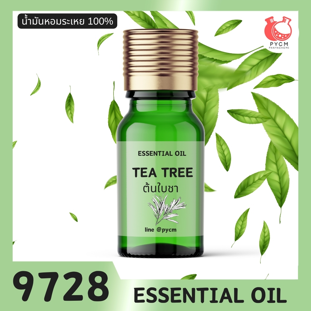 🍒9728 น้ำมันหอมระเหย กลิ่น ต้นใบชา ทีทรีออยล์ TEA TREE ESSENTIAL OIL MELALEUCA ALTERNIFOLIA LEAF OIL