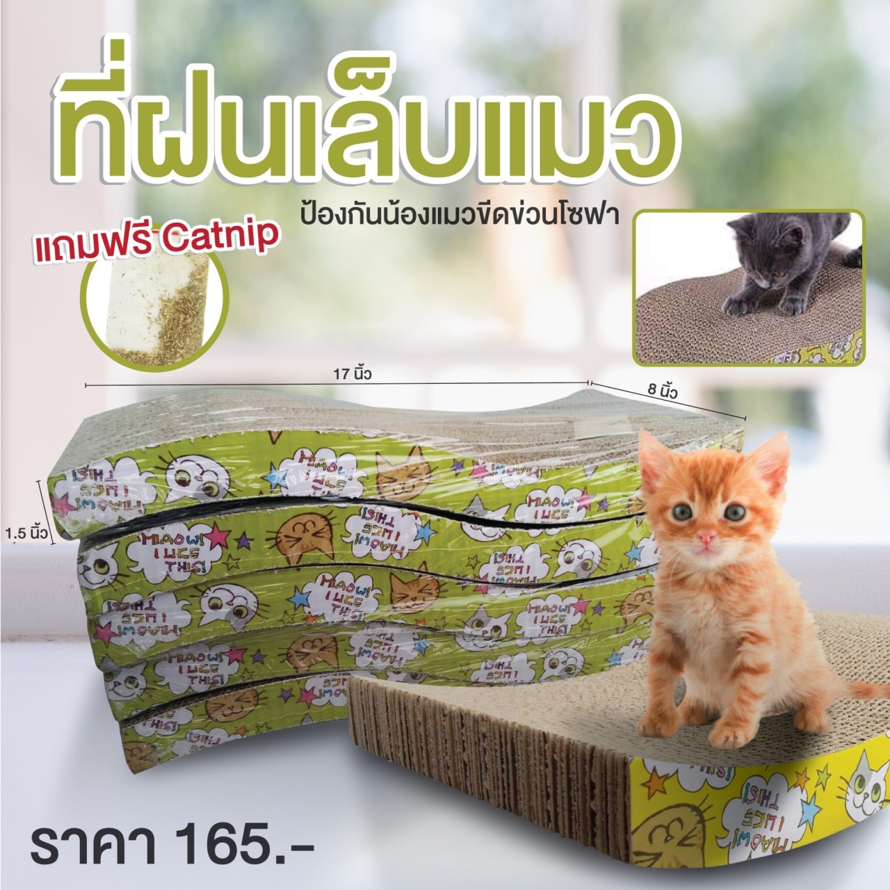 ที่ฝนเล็บแมว ราคาเบา ๆ