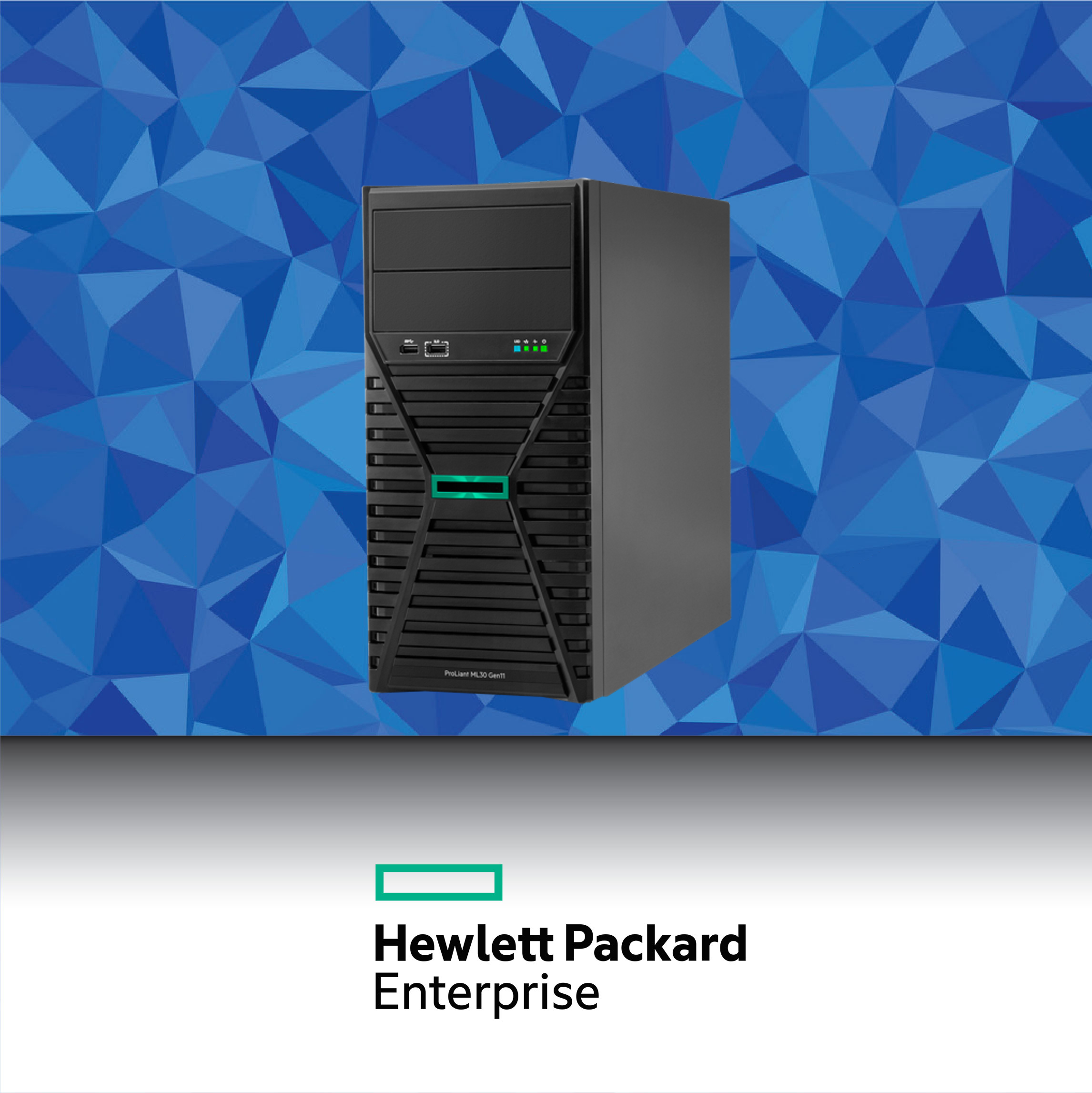 HPE ProLiant ML30 Gen11 [P/N P65094-371] ขาย Server | จำหน่าย Server | ร้านขาย Server