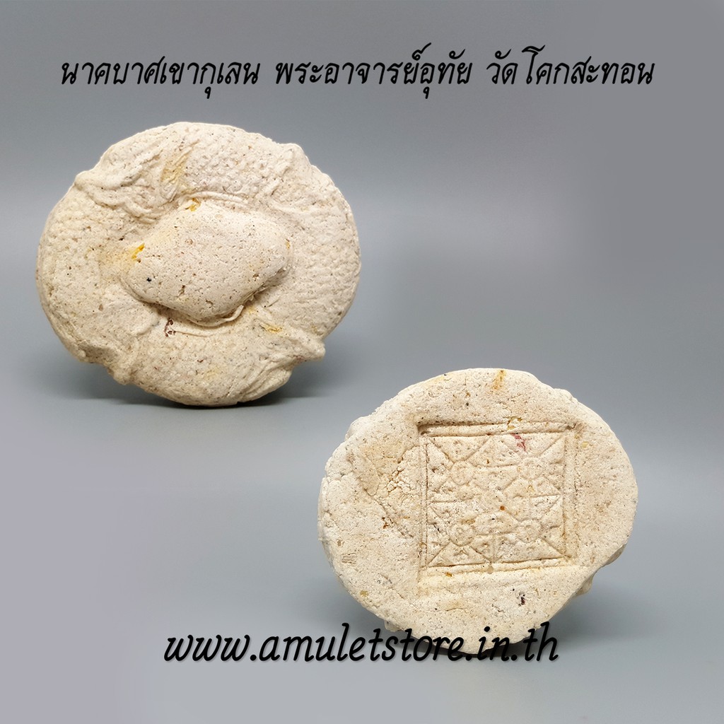 นาคบาศเขากุเลน พระอาจารย์อุทัย ปสุโต วัดโคกสะทอน มหาสารคาม