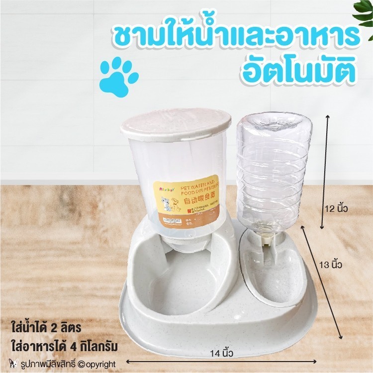 ชามให้น้ำและอาหารอัตโนมัติ