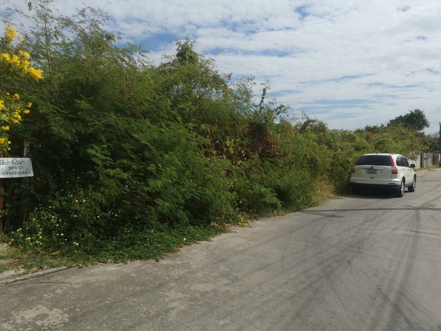 ที่ดินเปล่า ซอยเฉลิมพระเกียรติ ร.9 48