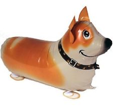 CORGI DOG