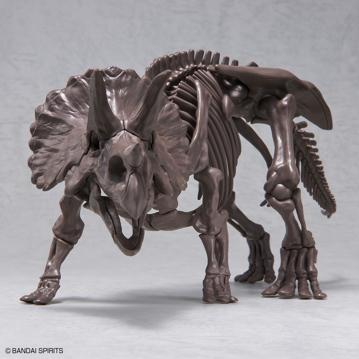 1/32 IMAGINARY SKELETON TRICERATOPS