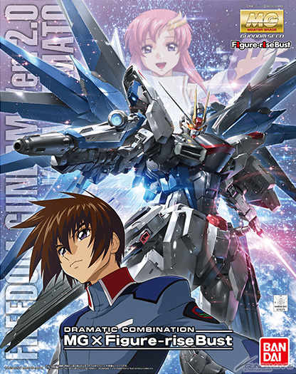 Dramatic Combination [MG Freedom Gundam Ver.2.0 & Figure-rise Bust Kira Yamato] (MG)