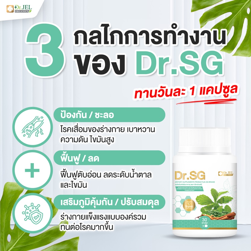 3 กลไกการทำงานของ Dr.SG