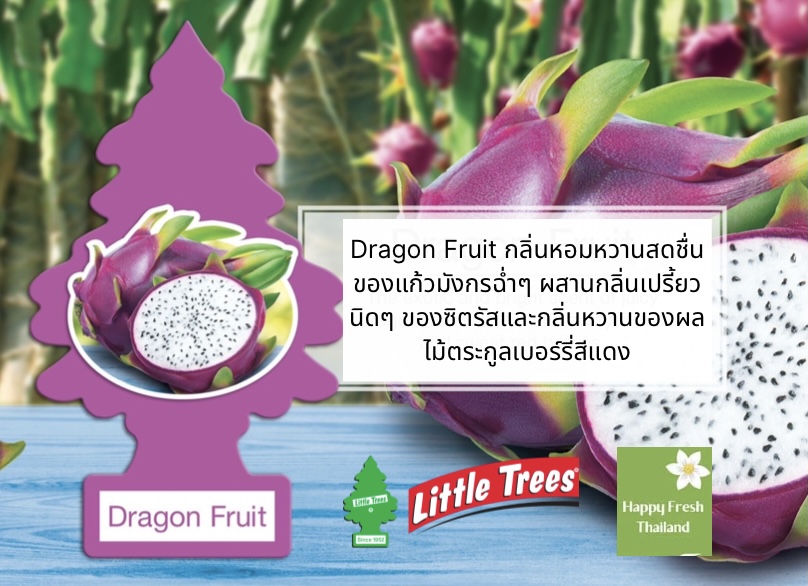 Little Trees กลิ่น Dragon Fruit (แก้วมังกร)