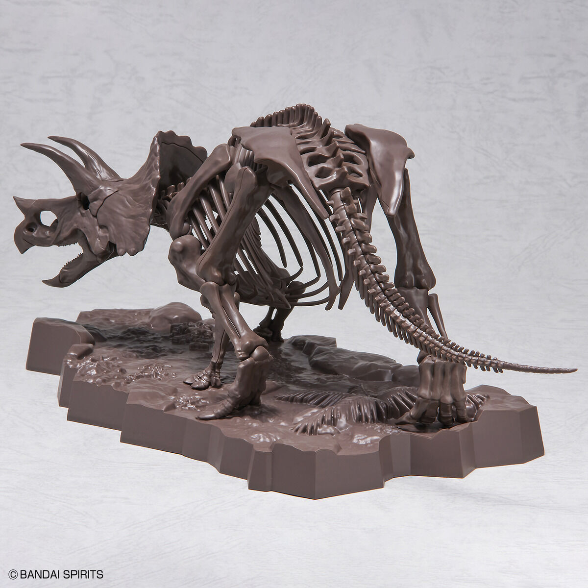 1/32 IMAGINARY SKELETON TRICERATOPS