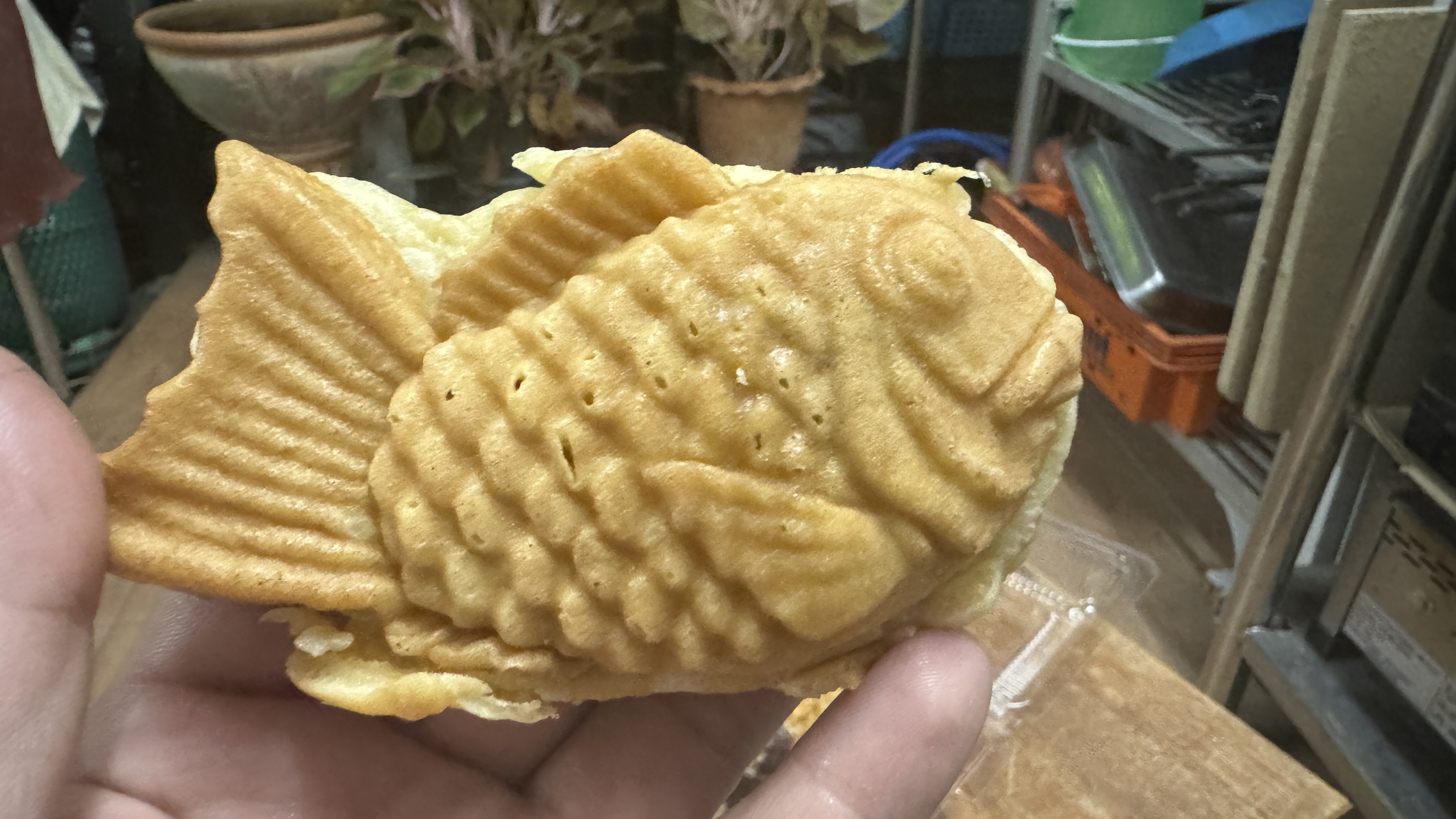 แป้งไทยากิ โอบันยากิ 10 Kg บ้านป้าจันทร์สร้างอาชีพ