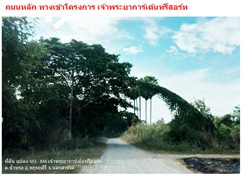 ที่ดินเปล่า มีโฉนด 3 ไร่ 1 งาน 1 ตารางวา ในโครงการเจ้าพระยาการ์เด้นท์รีสอร์ท ต.น้ำทรง อ.พยุหะคีรี จ.นครสวรรค์ ติดถนนซอย กว้าง 8 เมตร