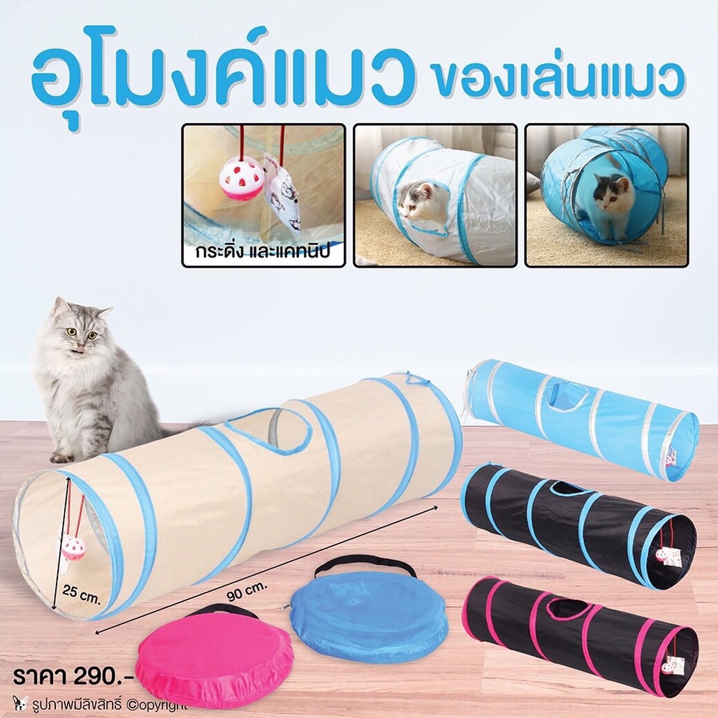 อุโมงค์แมว