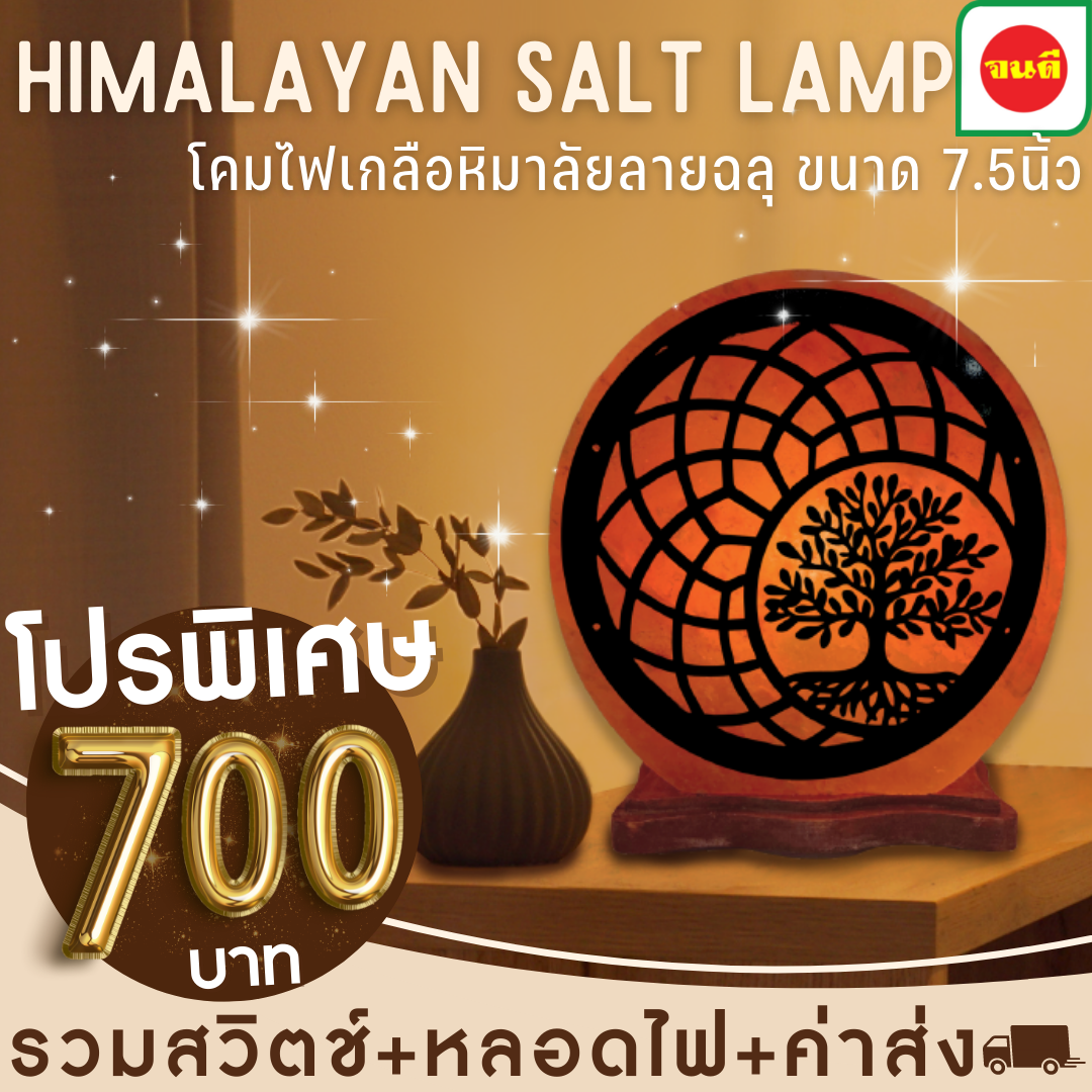 โปรพิเศษ โคมไฟเกลือหิมาลัยลายฉลุ 7.5 นิ้ว #111550