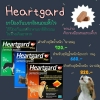 Heartgard
