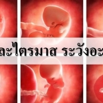 ท้องแต่ละไตรมาส ระวังเรื่องอะไรบ้าง?