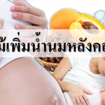 ผลไม้เพิ่มน้ำนมหลังคลอด