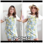 ชุดเดรสไซส์ใหญ่