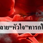 ควันบุหรี่ทำลายหัวใจทารกในครรภ์!!