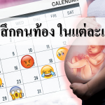 ความรู้สึกของคนท้องในแต่ละเดือน