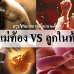 สรุปพัฒนาการคนท้อง VS พัฒนาการลูกในท้อง 1-9 เดือน