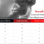 ตารางน้ำหนักทารกในครรภ์แต่ละสัปดาห์