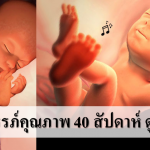 อยากมีครรภ์คุณภาพ ลูกเกิดมาแข็งแรง 40 สัปดาห์ ดูแลแบบนี้เลย
