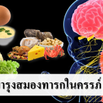 อาหารบำรุงสมองทารกในครรภ์ทั้ง 9 เดือน