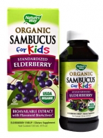 Nature's Way, Organic Sambucus for Kids, Standardized Elderberry, Berry Flavor, 4 fl oz (120 ml)