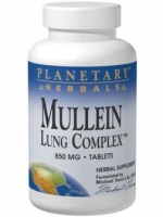 Planetary Herbals, Mullein Lung Complex, 850 mg, 180 Tablets