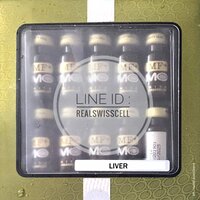 MO LIVER ตับ