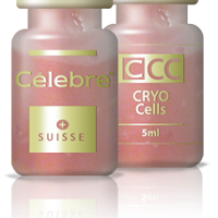 Célebre CRYO CCC Placenta Live 34 million cells FROZEN