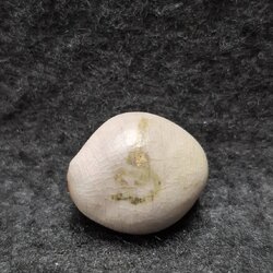 ลูกสวาดศรียาตรา อาจารย์พรหม อ่างทอง สำนักบารมีพ่อแก่